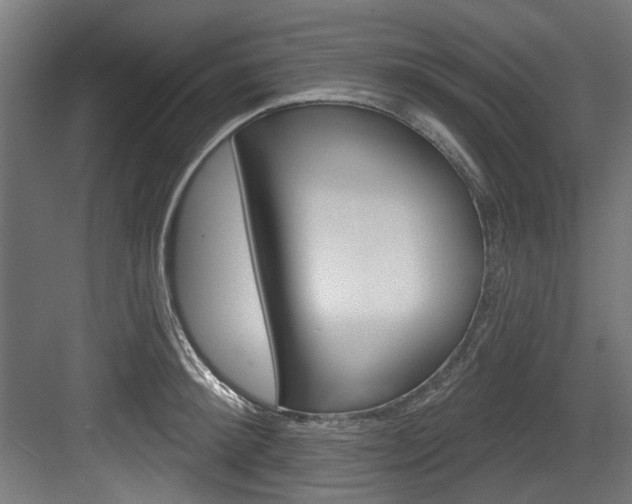 X0000084020900200702160823