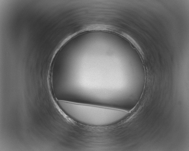 X0000084020901200702160823