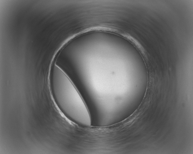 X0000084020902200702160823