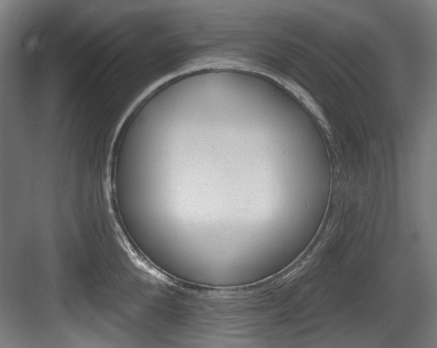 X0000084020904200702160823