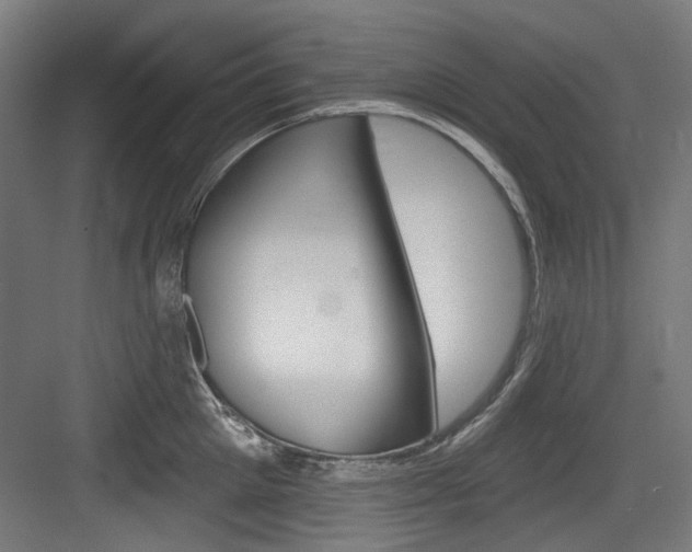X0000084020905200702160823