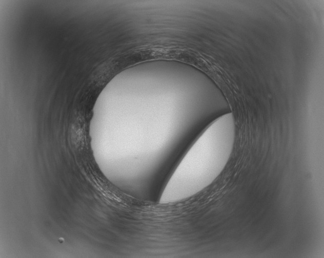 X0000084020914200702160822