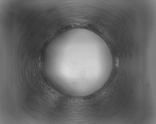 X0000084020915200702160822