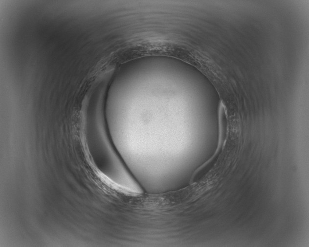 X0000084020916200702160822