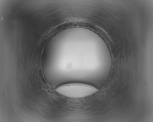 X0000084020919200702160822