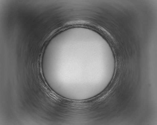 X0000084020921200702160822