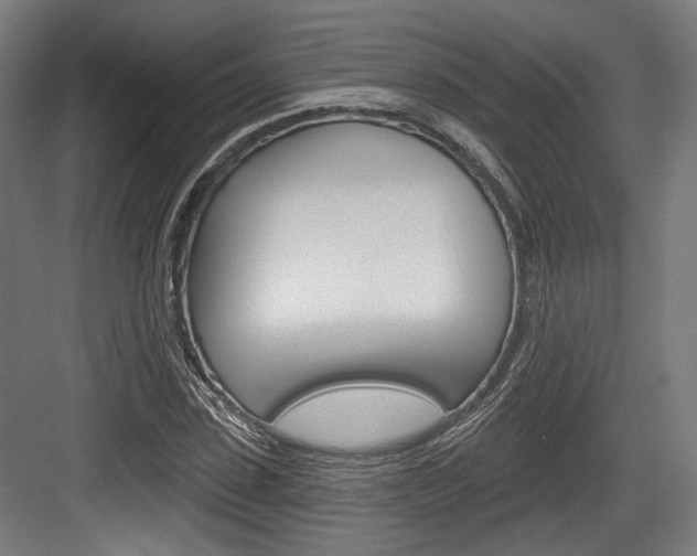 X0000084020923200702160822