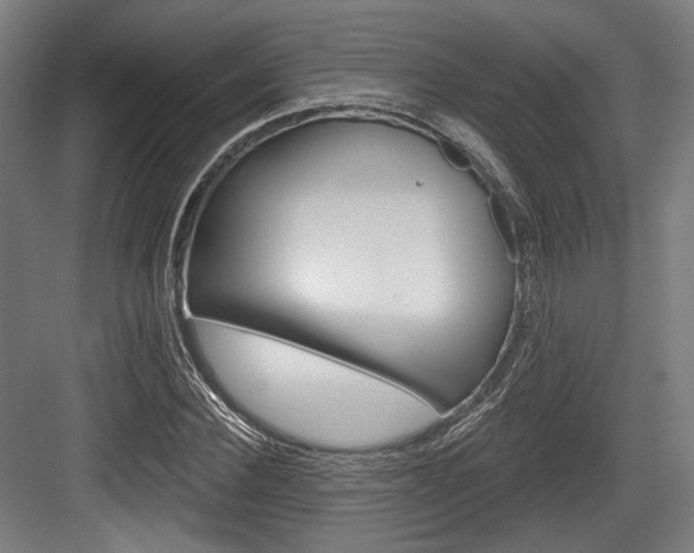 X0000084020924200702160822