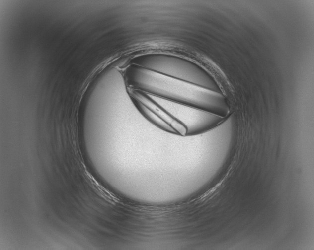 X0000084020930200702160822