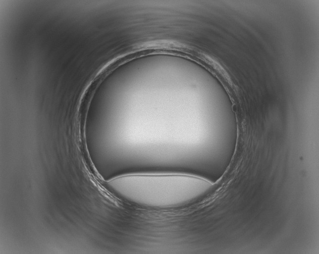 X0000084020931200702160822