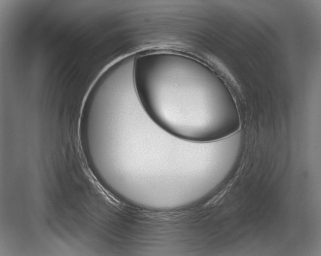 X0000084020932200702160822