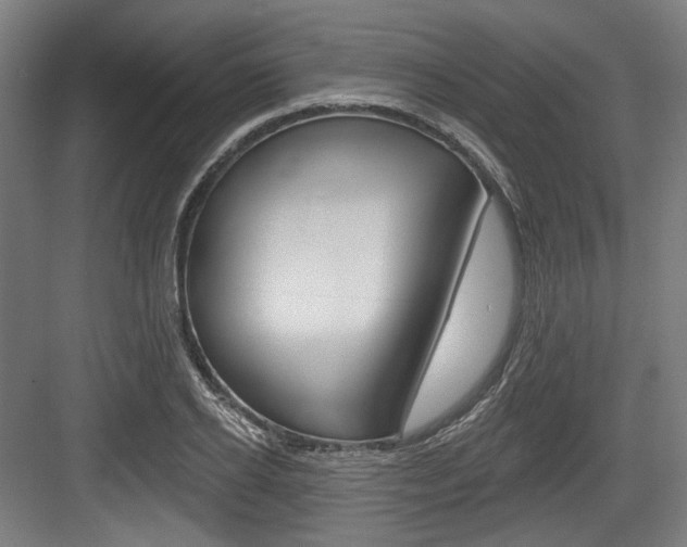 X0000084020934200702160822