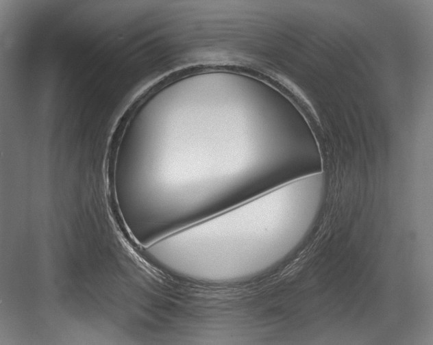 X0000084020935200702160822
