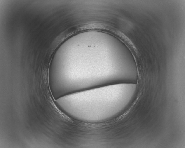 X0000084020937200702160822