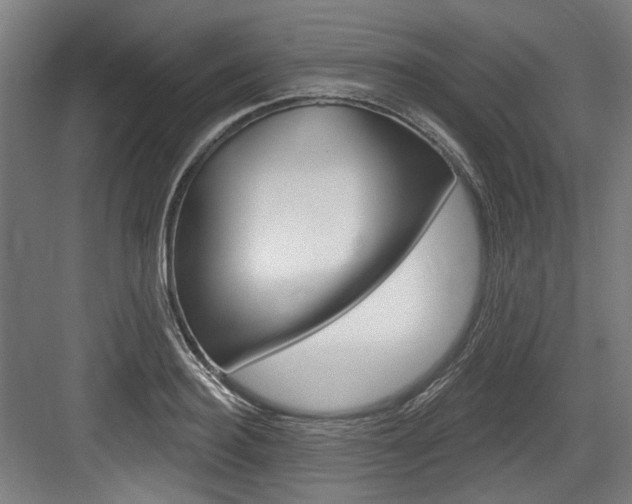 X0000084020940200702160823