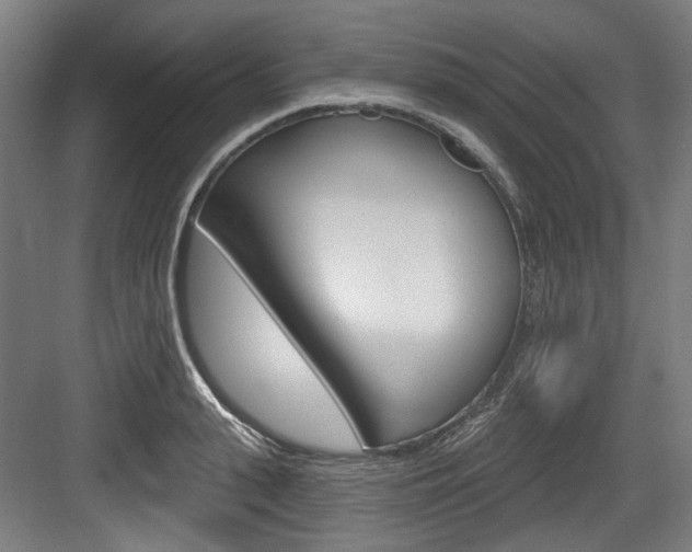 X0000084020943200702160823