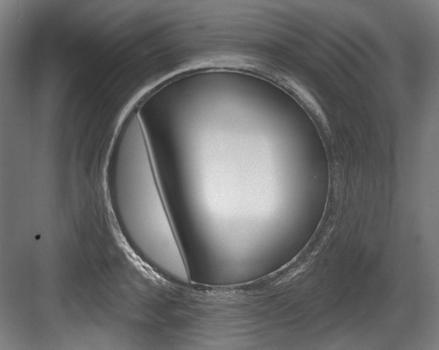 X0000084020944200702160823