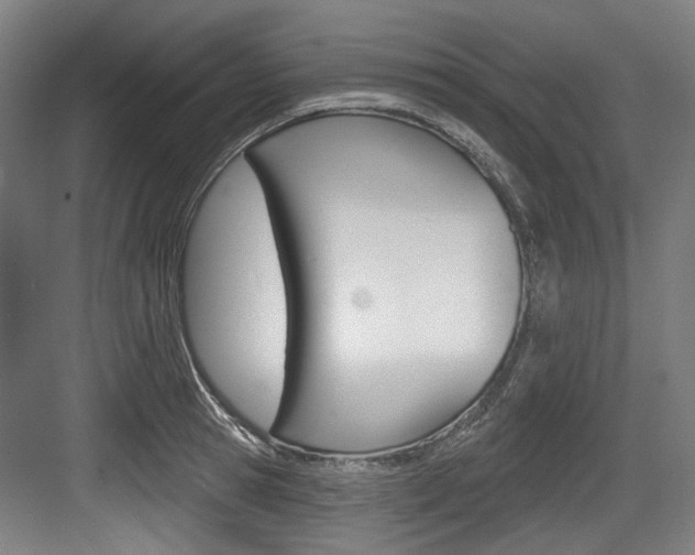 X0000084020945200702160823