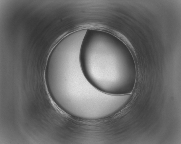 X0000084020946200702160823