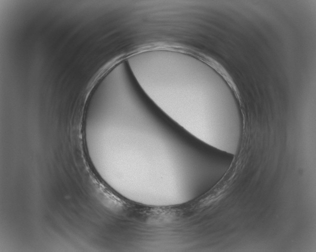 X0000084020954200702160823