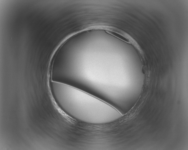 X0000084020955200702160823