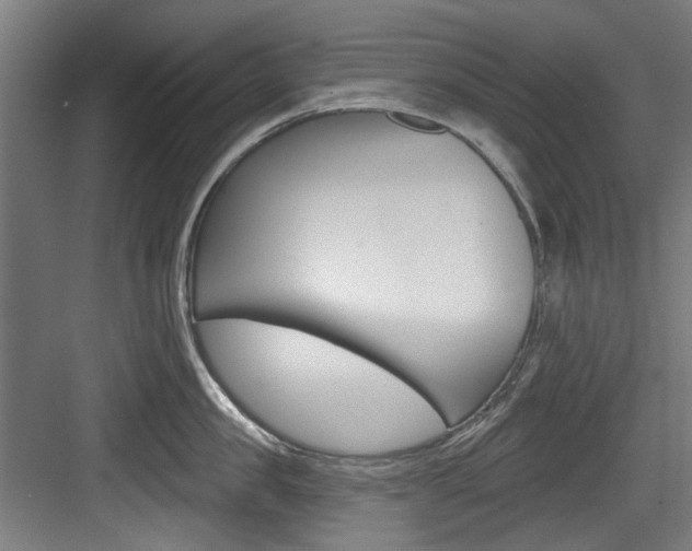 X0000084020957200702160823