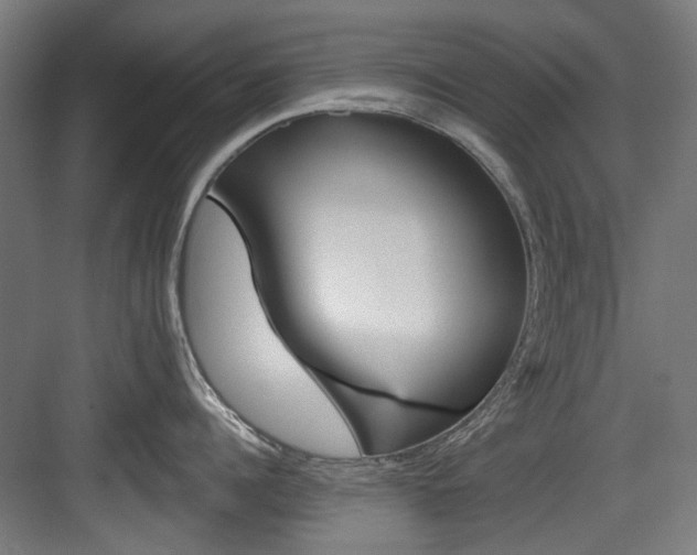 X0000084020960200702160823
