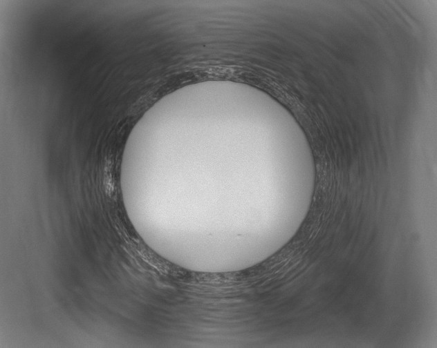 X0000084020962200702160822