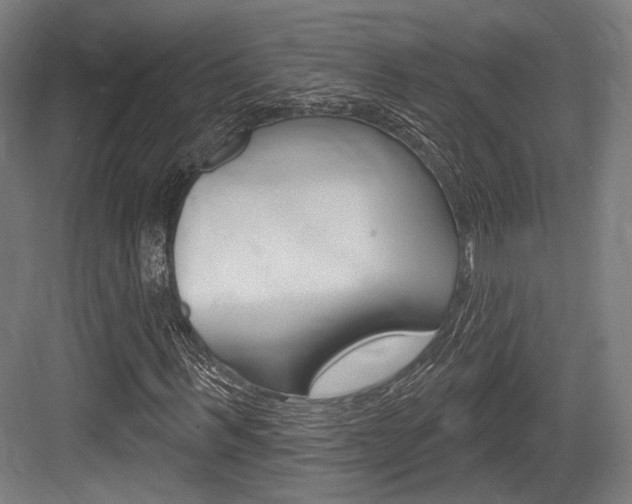 X0000084020963200702160822