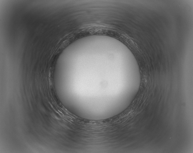 X0000084020964200702160822