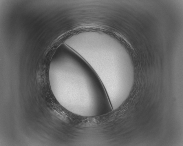 X0000084020968200702160822