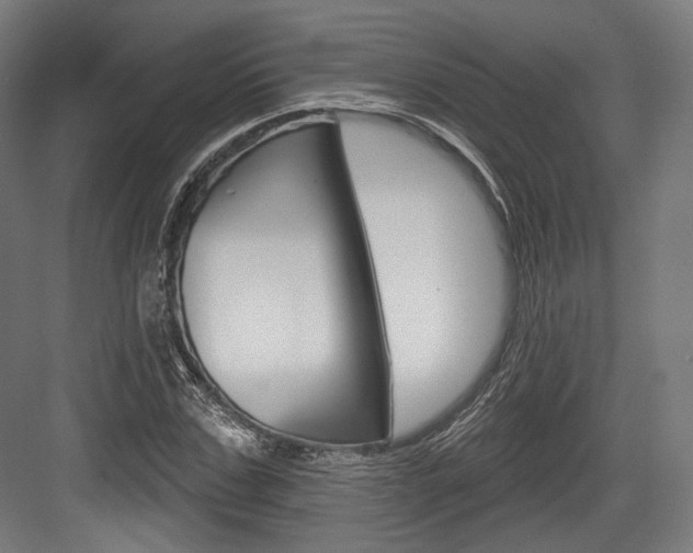 X0000084020971200702160822