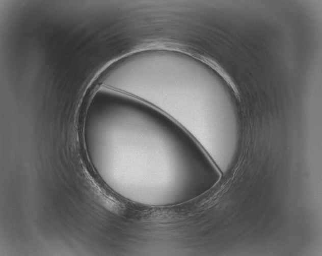 X0000084020972200702160822