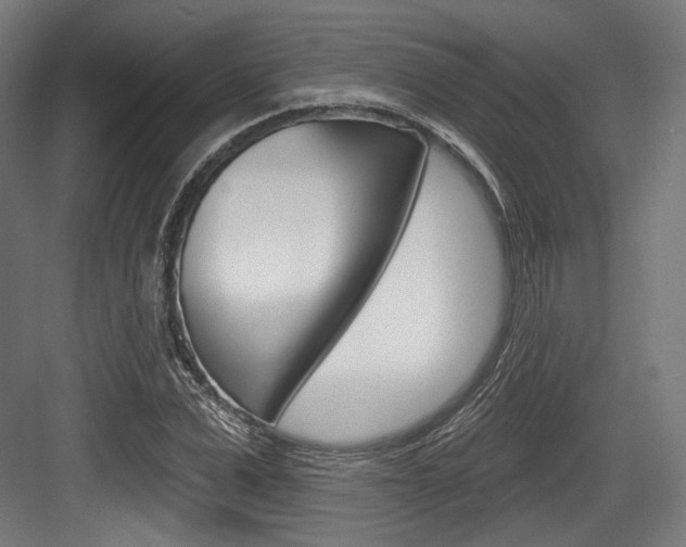 X0000084020975200702160822