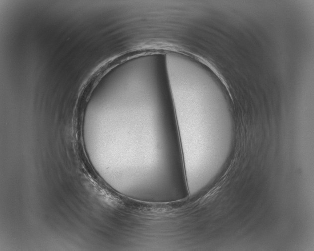 X0000084020979200702160822