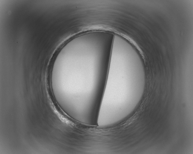 X0000084020991200702160822