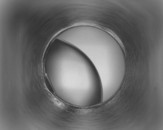 X0000084020996200702160821