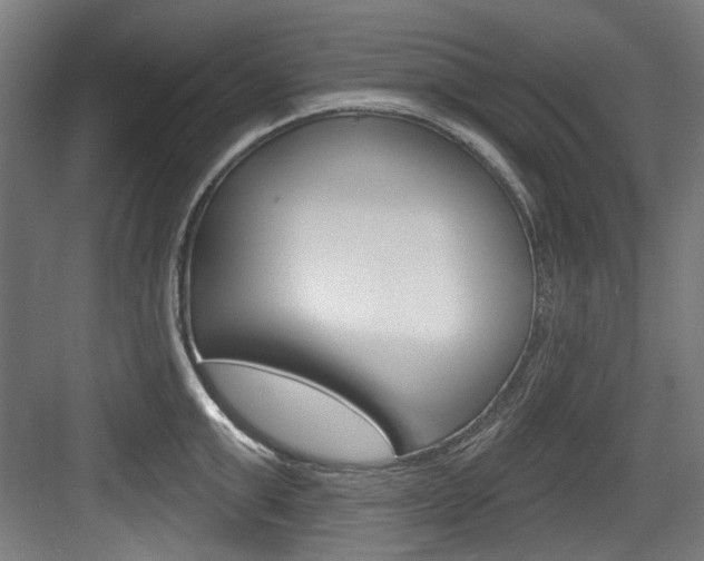 X0000084020999200702160821