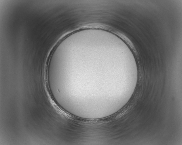 X0000084021000200702160821