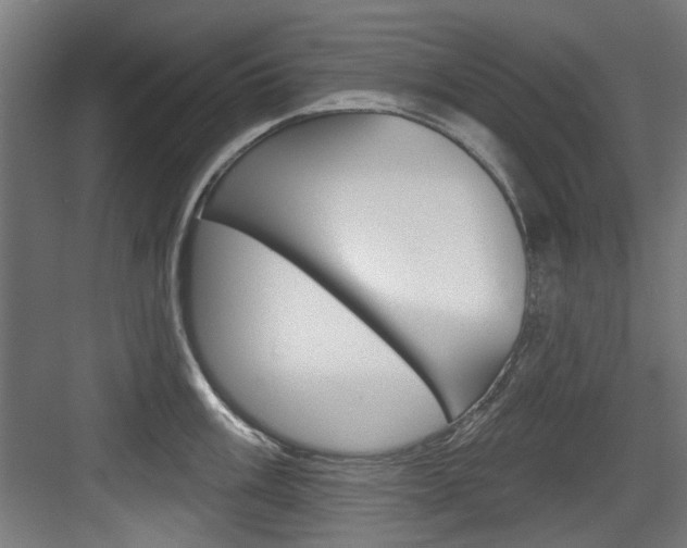 X0000084021003200702160821