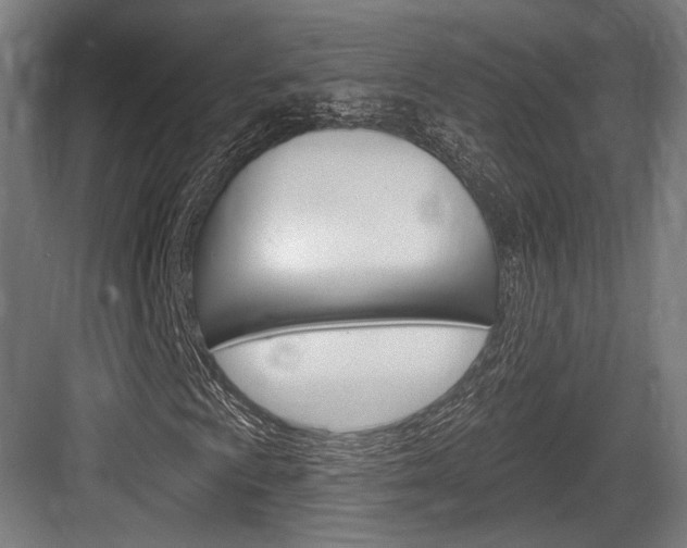 X0000084021009200702160820