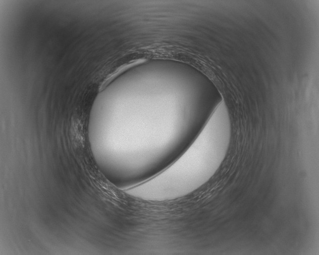X0000084021010200702160820