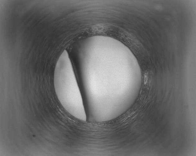 X0000084021011200702160820