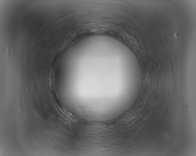 X0000084021012200702160820