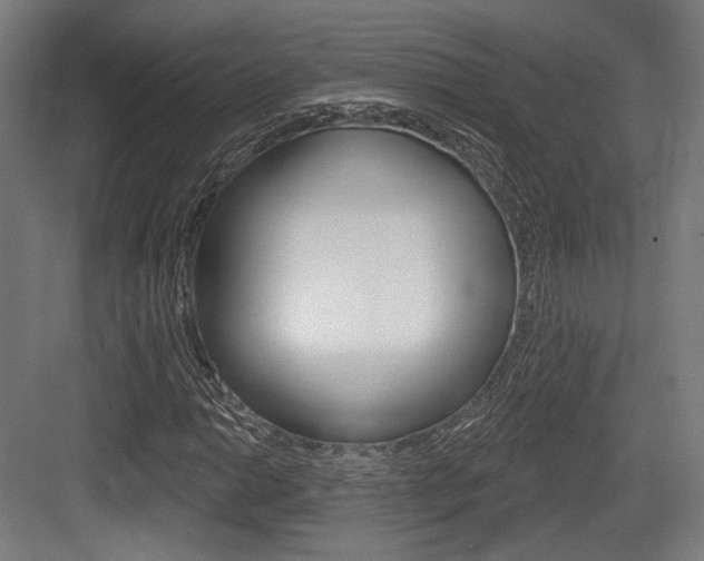 X0000084021014200702160821