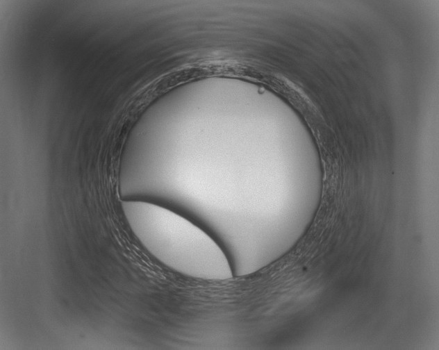 X0000084021015200702160821