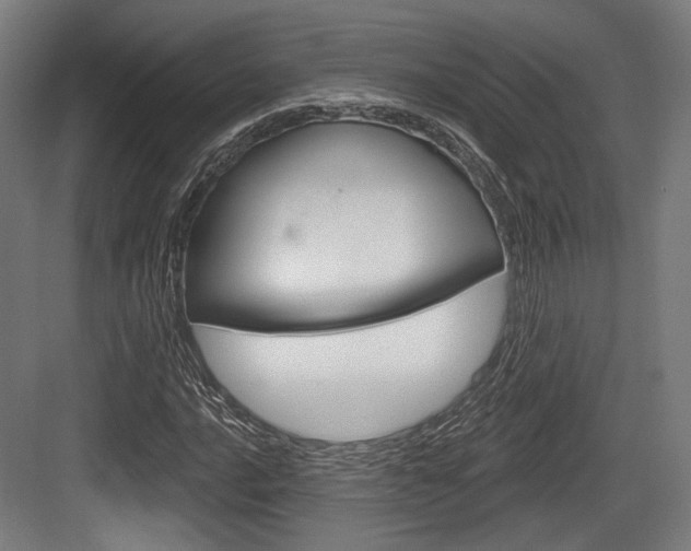 X0000084021016200702160821