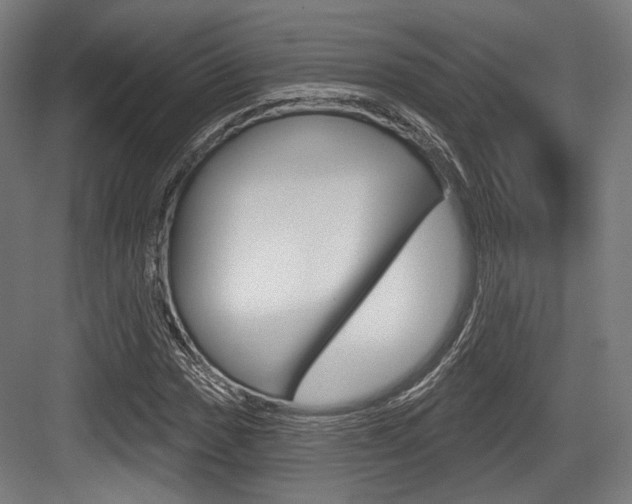X0000084021017200702160821