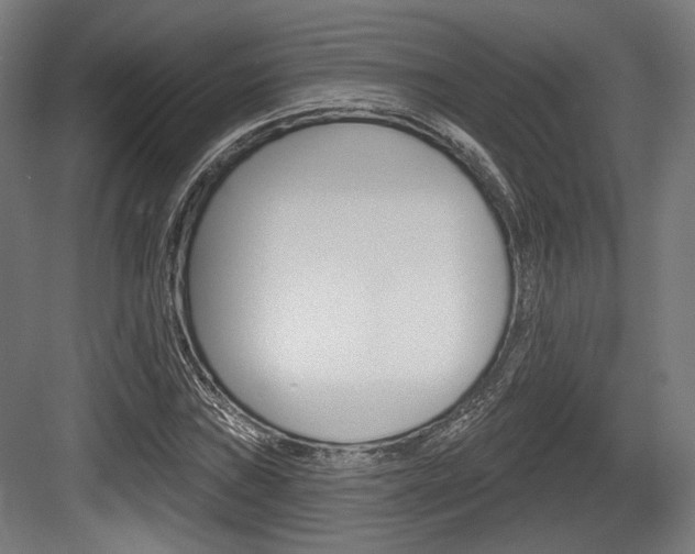 X0000084021019200702160821