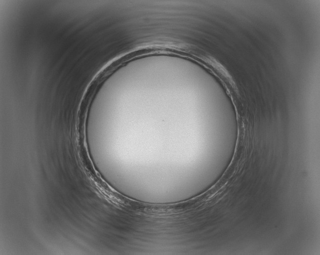 X0000084021020200702160821